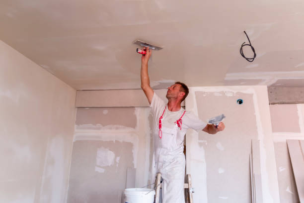 Best Ceiling Drywall Installation  in Normal, IL